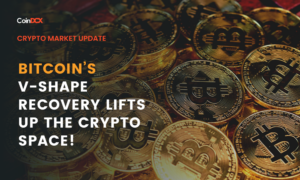 Crypto Market Update