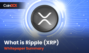 What is RIPPLE (XRP) | Whitepaper Summary