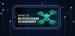 What is Blockchain Sharding?