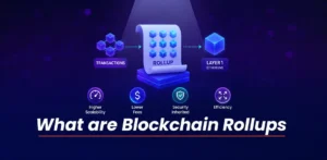 What are Blockchain Rollups?