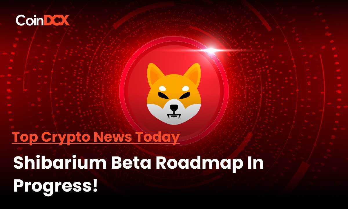 Shibarium Integration Roadmap revealed by NOWNodes prior to the Launch