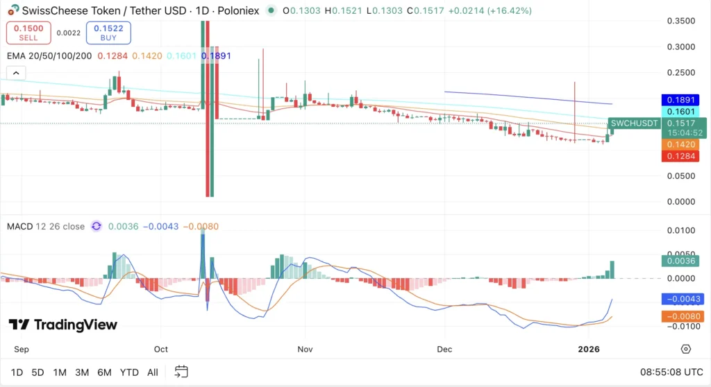SwissCheese Price Prediction