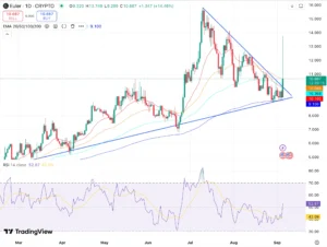 Euler Price Prediction Graph
