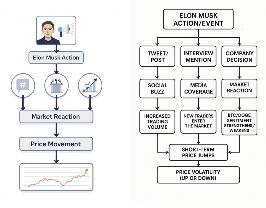 Elon Musk Crypto Coin