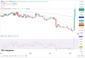 Flux Price Graph - Source: Trading View
