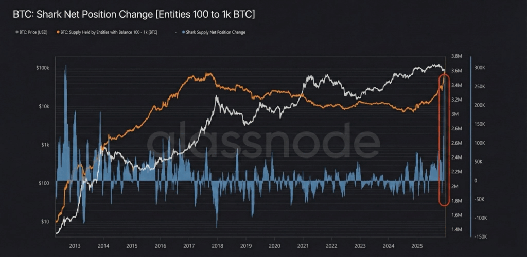 Bitcoin whales