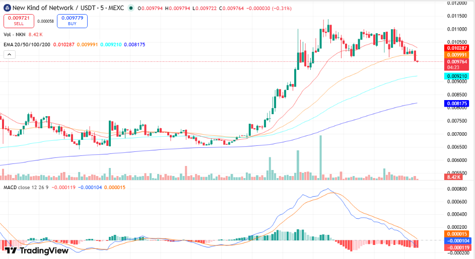 NKN (NKN) Price Prediction