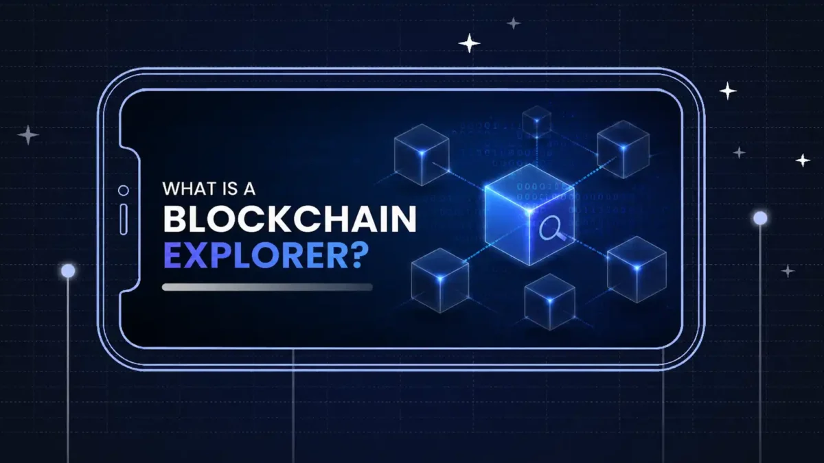 What Is a Blockchain Explorer and How to Use It?