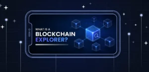 What Is a Blockchain Explorer and How to Use It?