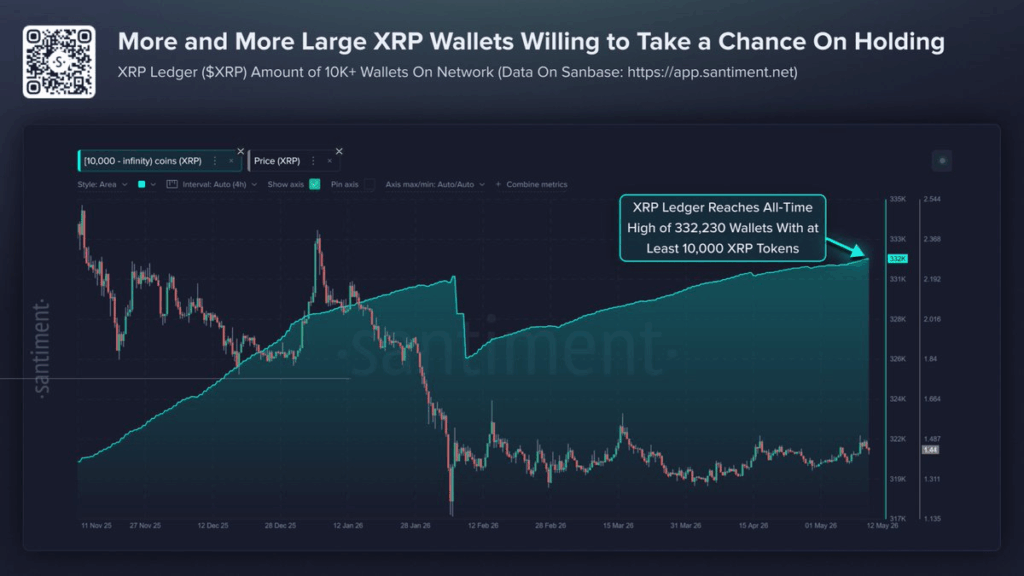 XRP Whale Wallets