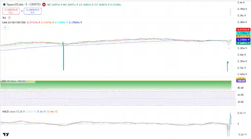 SpaceX Coin Price Chart - Source Trading View