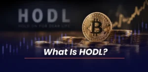 What Is HODL?
