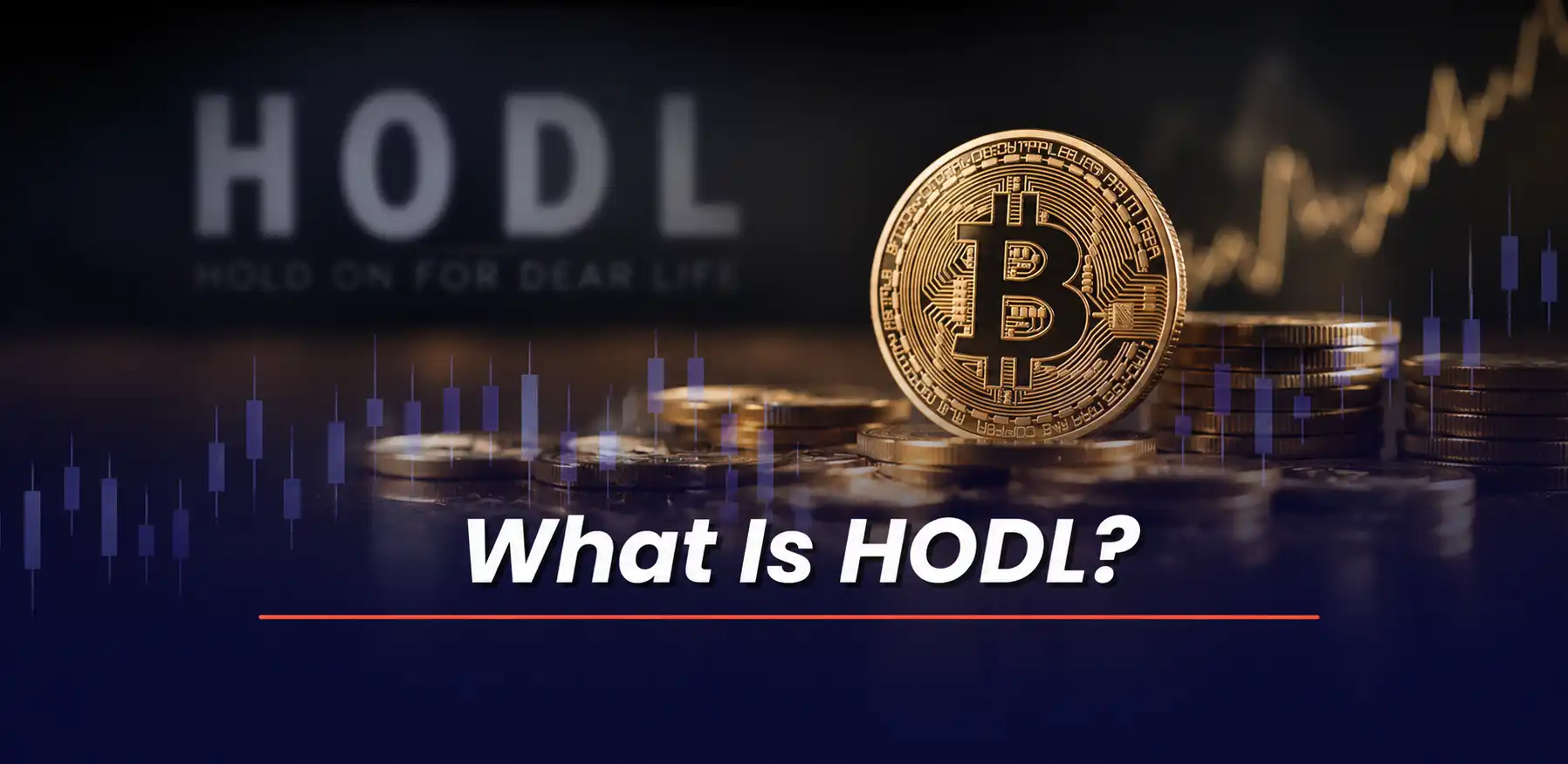 What Is HODL?