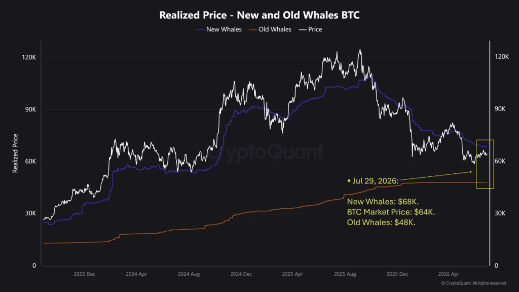 Whales