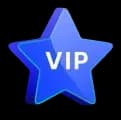 VIP Program